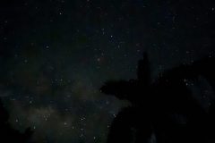 Night Sky